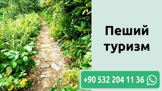 Пеший туризм